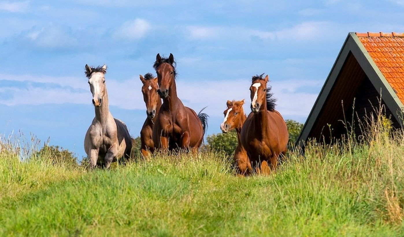 Theme Village Tour 2024 Theme Village Tour 2024